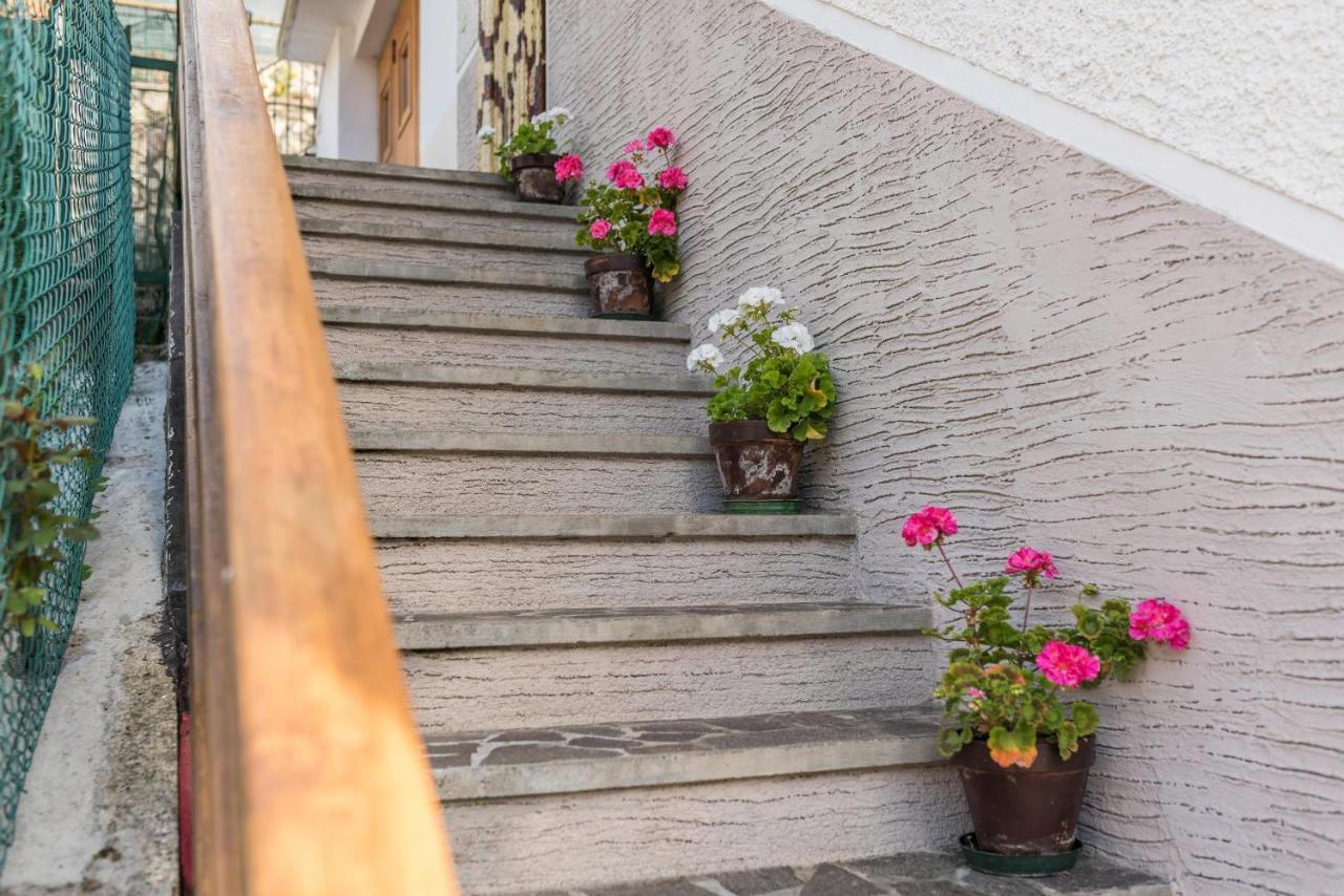 Casa Al Sole Διαμέρισμα Bresimo Εξωτερικό φωτογραφία
